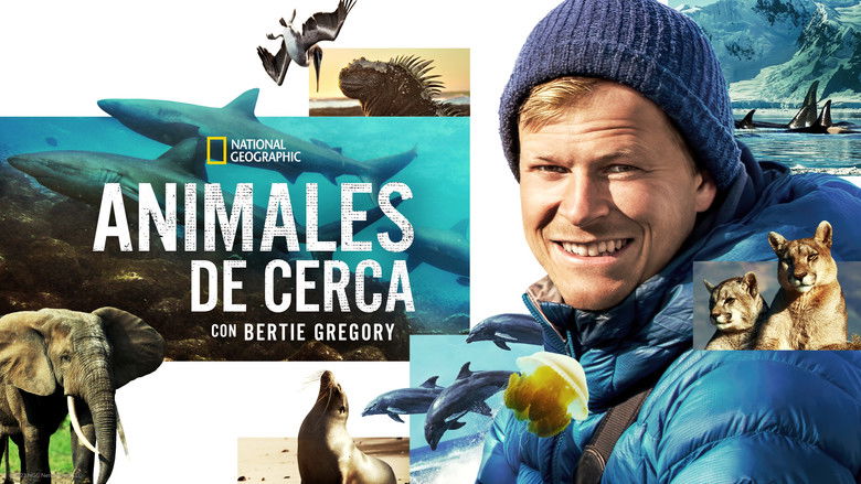 Gallery image from j2UjXKvCYmwl53oV6B0FJJbEMdU.jpg