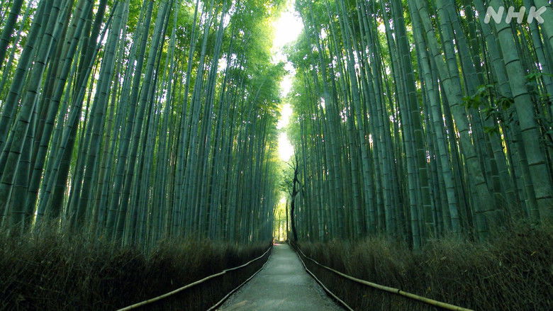 Still image for The Mark of Beauty season 1 episode 584: Episode 584 Still image for The Mark of Beauty season 1 episode 584: Episode 584