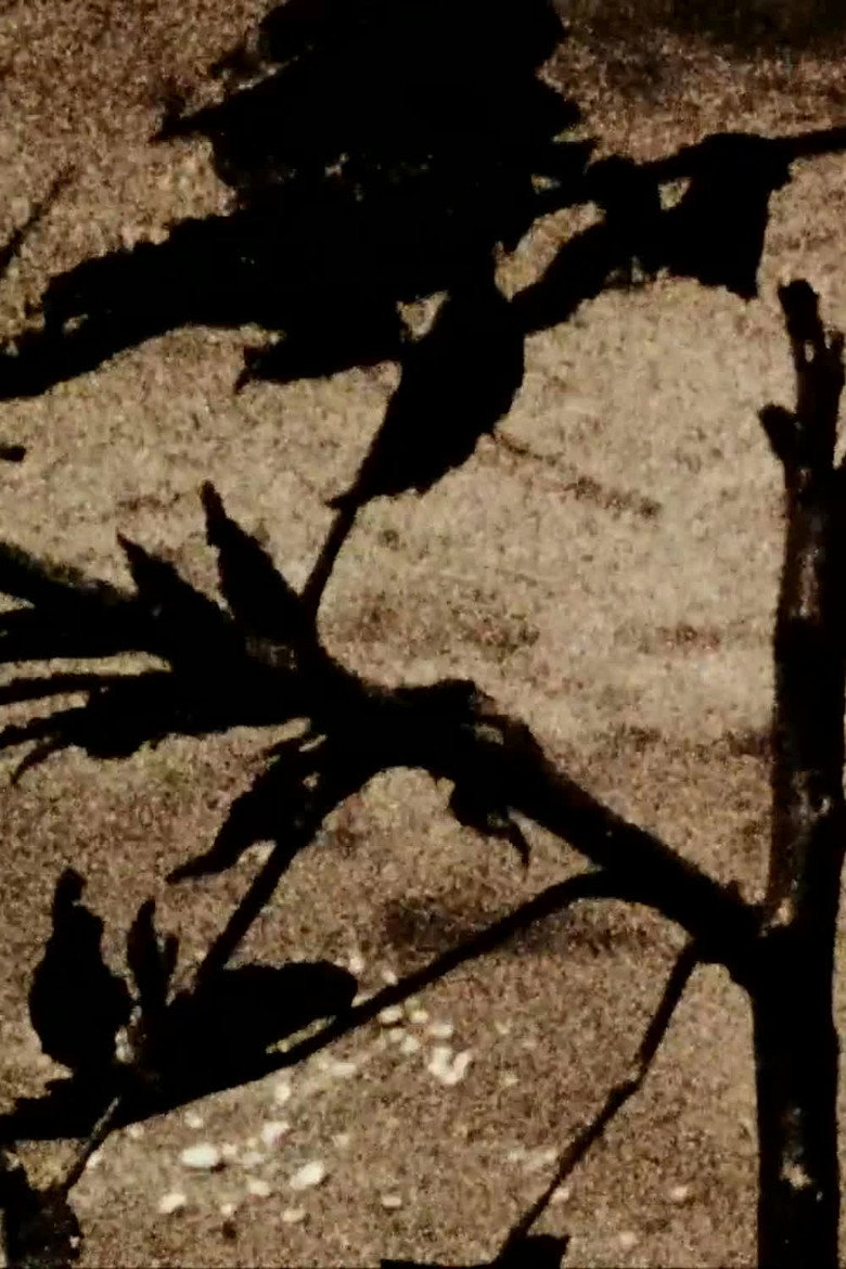 Imatge de Kokoro Is for Heart