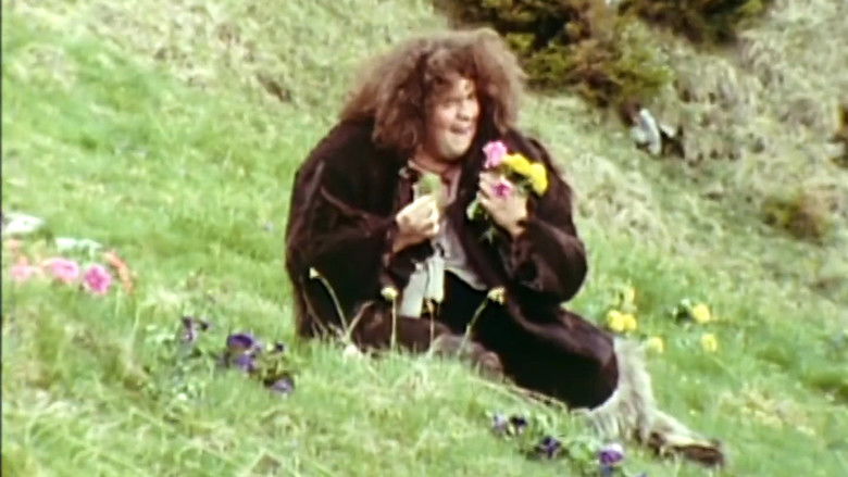 Imatge de Frankenstein : Une histoire d'amour