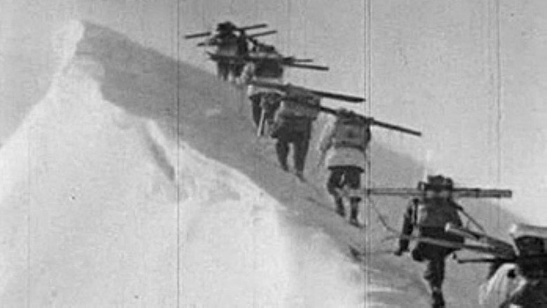 Comrades under Edelweiss backdrop