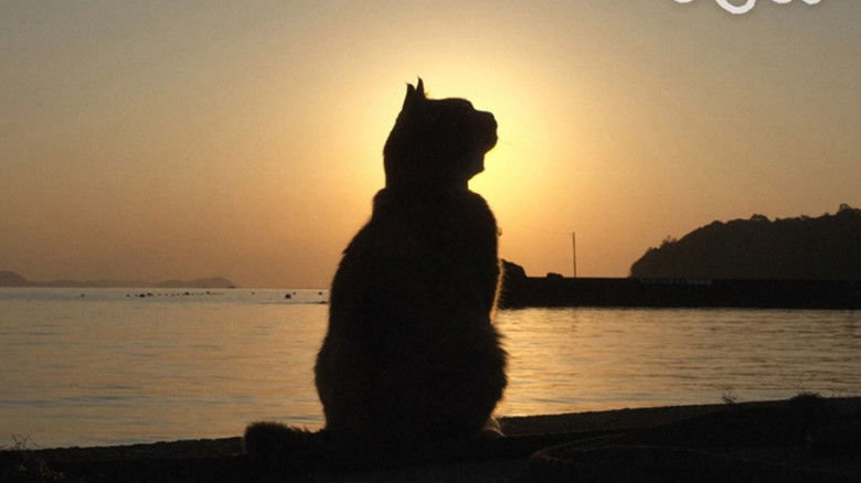 Still image for Mitsuaki Iwago's World “Cats” Travelogue season 1 episode 107: Matsuyama and Uwajima Still image for Mitsuaki Iwago's World “Cats” Travelogue season 1 episode 107: Matsuyama and Uwajima