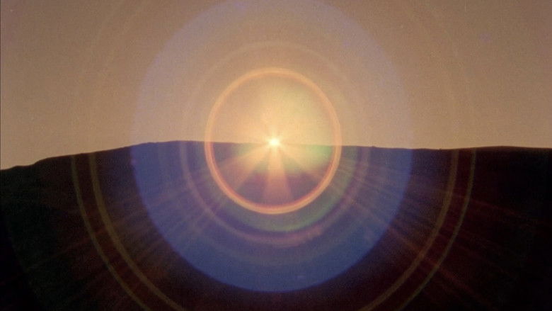 Gallery image from j4t4rO32DVFmhiz898Sc10G6YdC.jpg