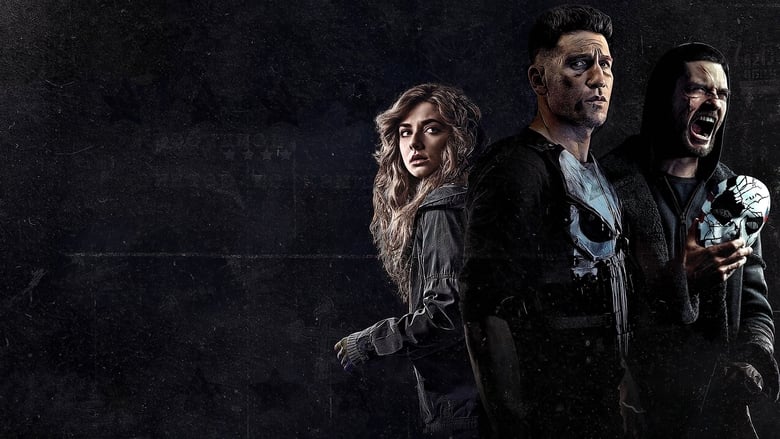 Banner of Marvel's The Punisher