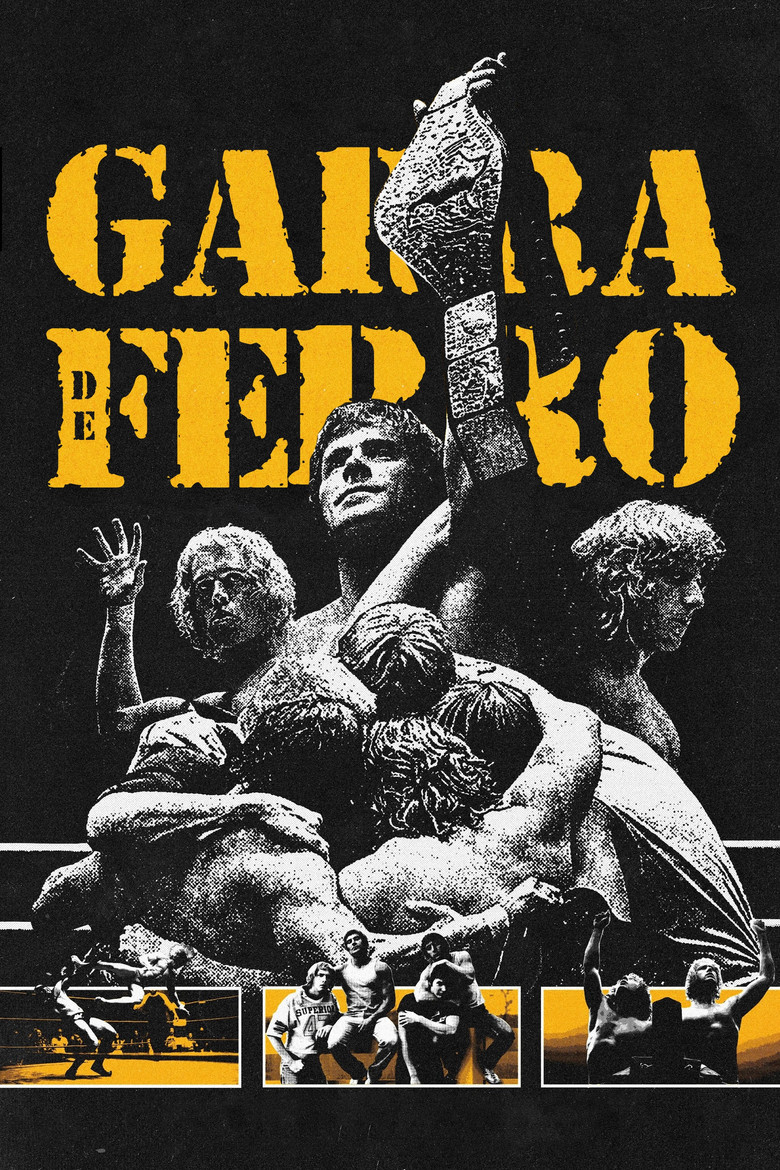 Póster la Película