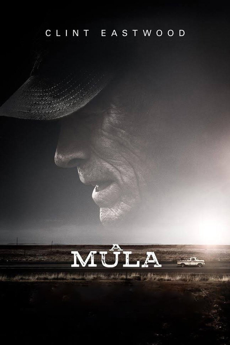 Póster la Película