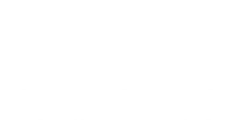 Imagen de Gump: Una lección de vida
