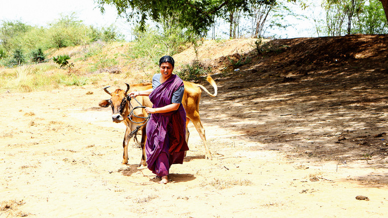 Image d'arrière-plan 5 du film Lenin Pandiyan