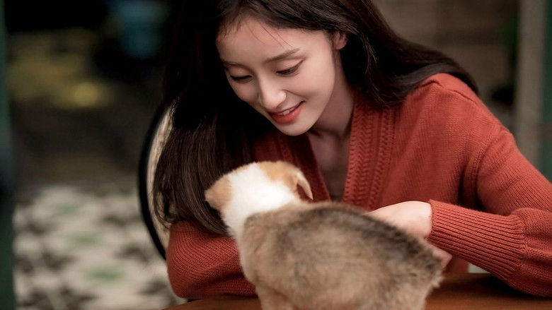 Still image for Love Unexpected season 1 episode 19: Episode 19