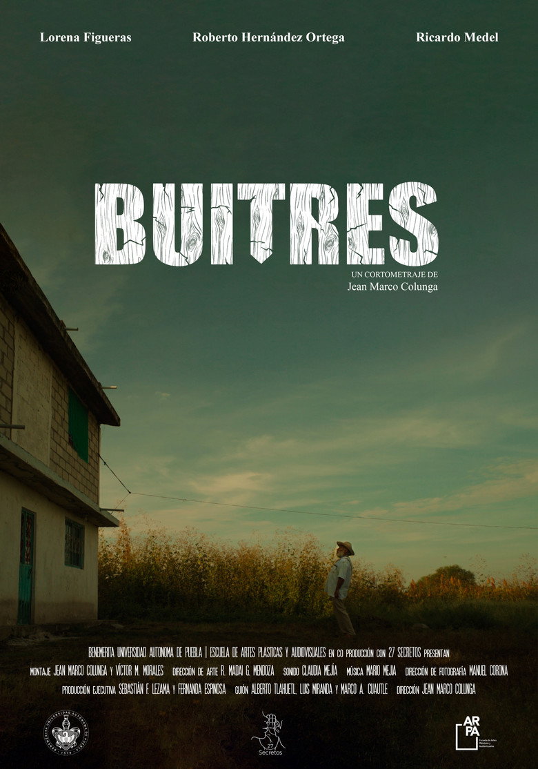 Imatge de Buitres