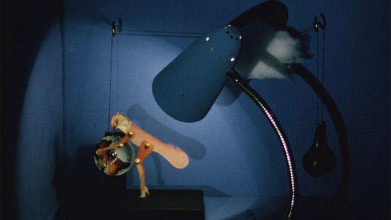 Imatge de The Mystical Rose