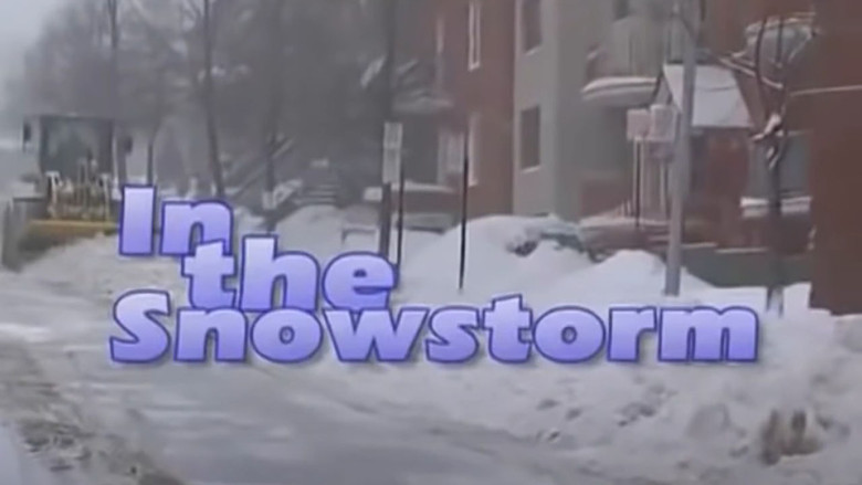 In the Snowstorm