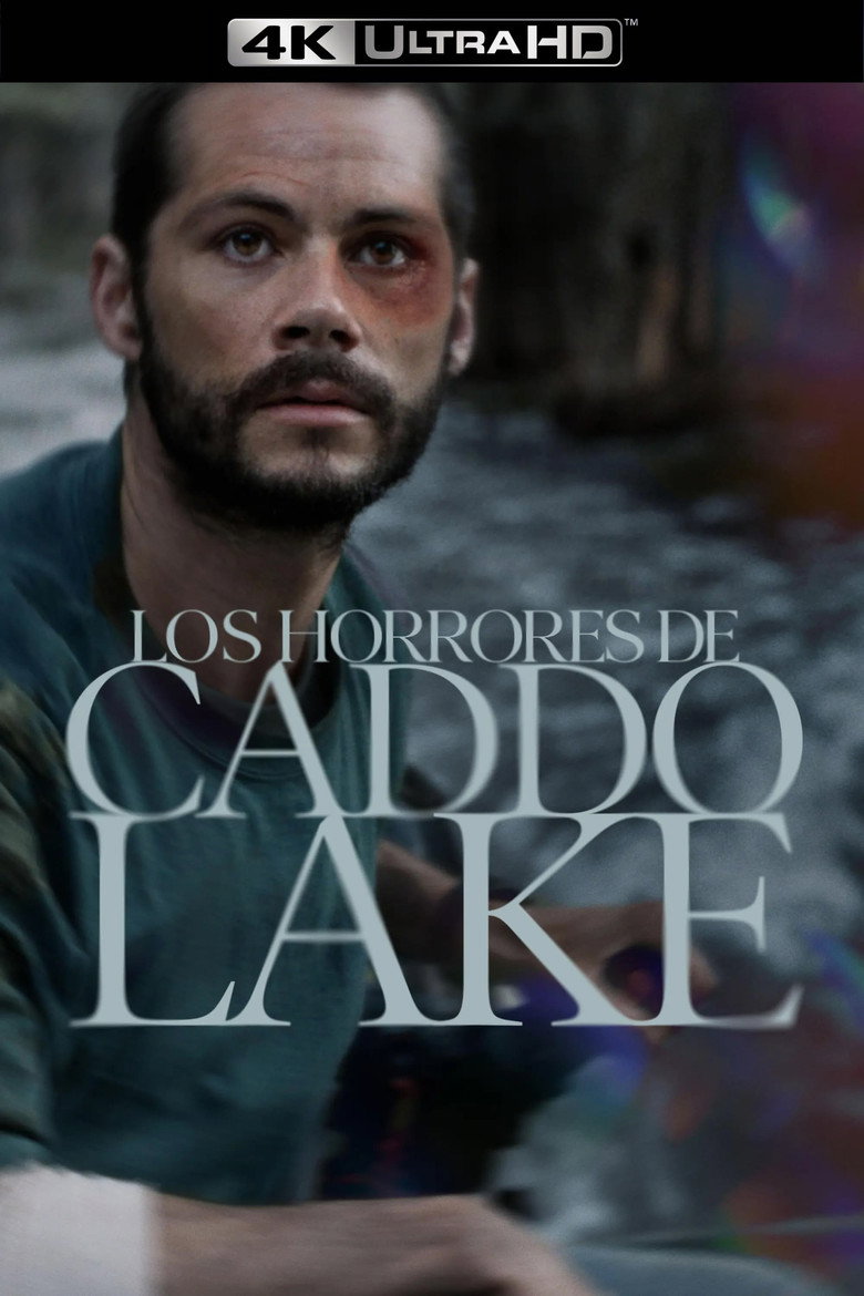 Póster la Película