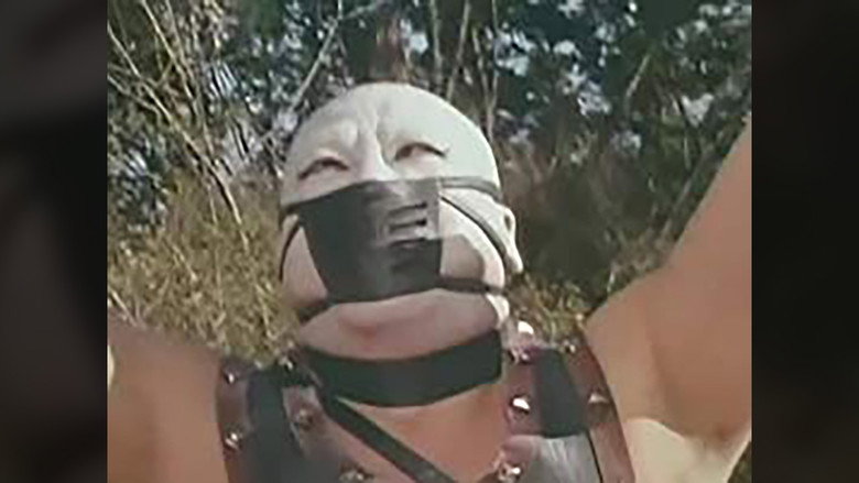 Still from 世界忍者戦ジライヤ - Season 1 Episode 3