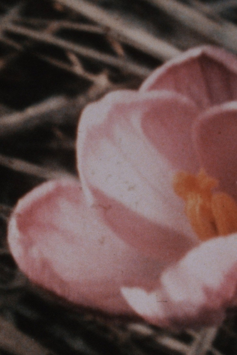 Imatge de Kumbum 1+1 (1975-1987)