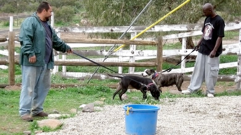 Still image for Pit Bulls and Parolees season 1 episode 4: Crisis