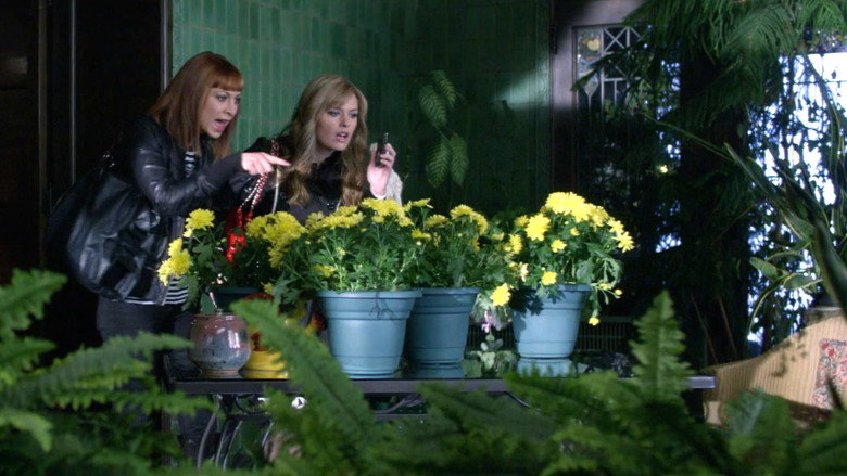 Killer Hair (2009)