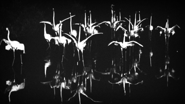 Meanders main backdrop
