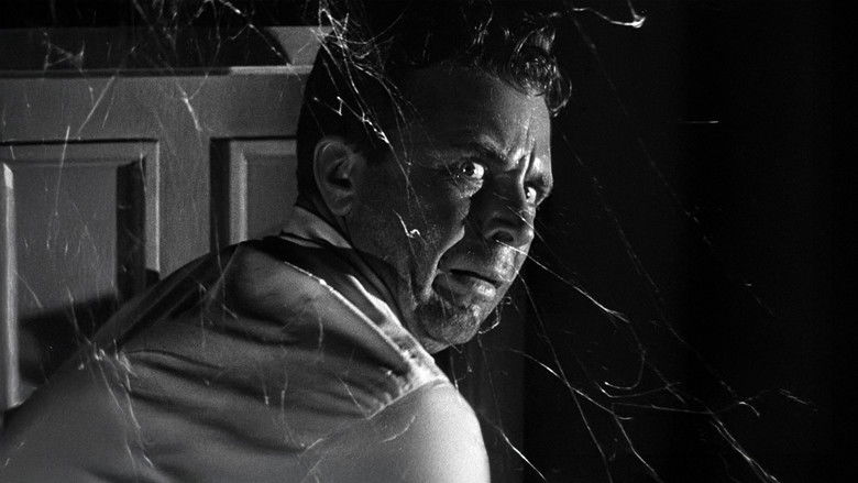 Gallery image from jF5C64PMYA87MymwfJPasnjKcKg.jpg