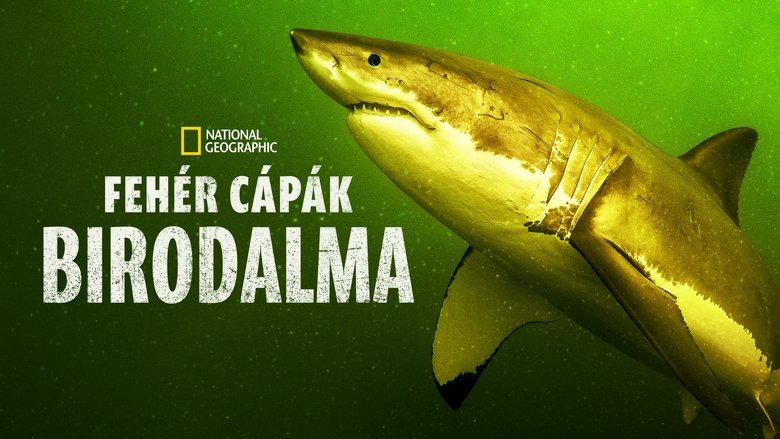 Return of the White Shark (2023)