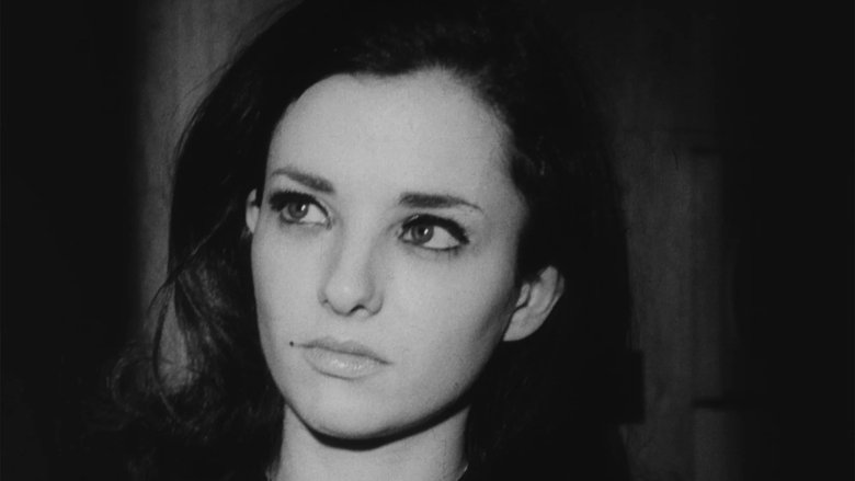 Gallery image from jFP4mpDSh4PDkT7Ys72wAQOfNvP.jpg