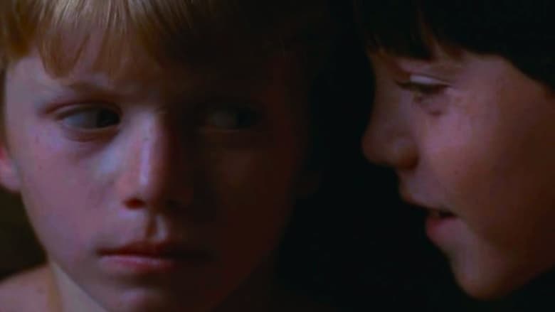 Mysterious Skin (2005)