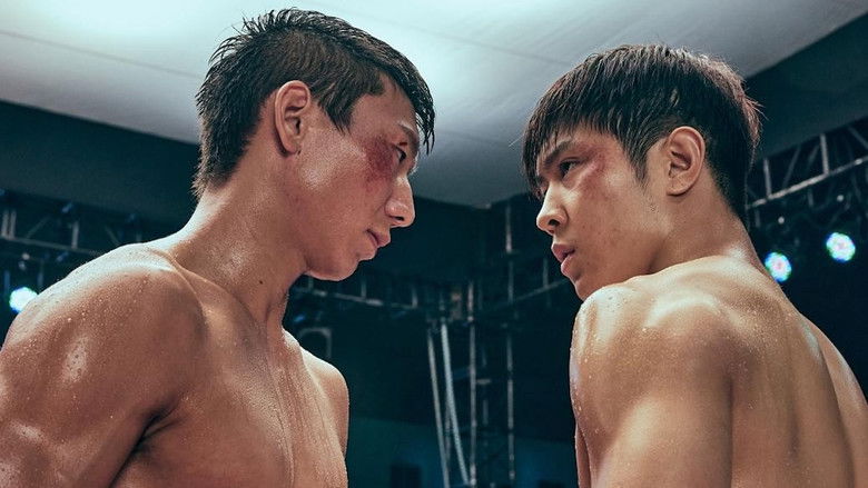 Imatge de 替身拳手