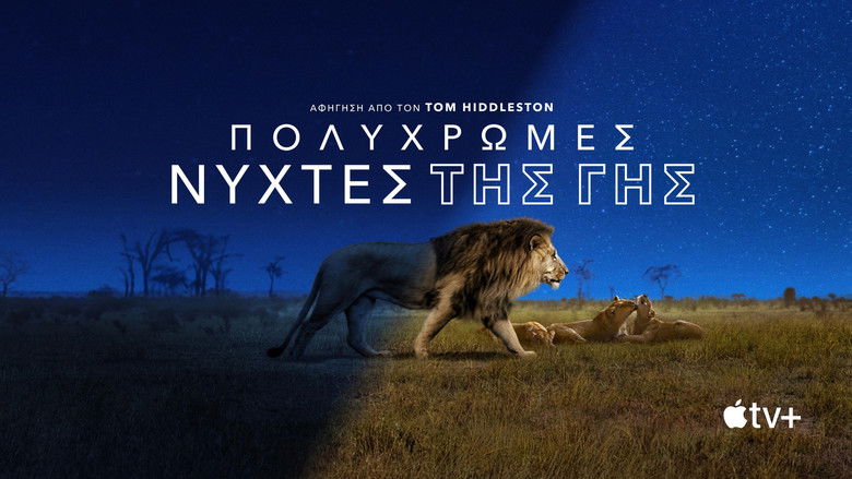 Gallery image from jGCus5IUKYfHX0nCBxEAqkn4jdZ.jpg