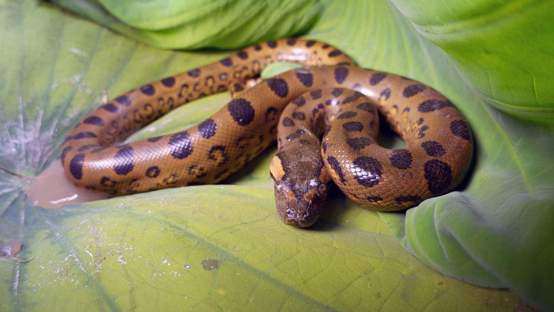 Still image for Guyana season 1 episode 1: Episode 1