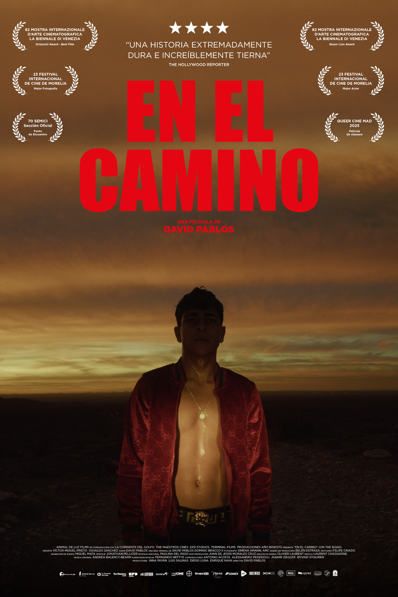 Póster la Película