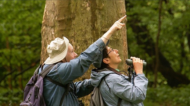 Birders: The Central Park Effect main backdrop