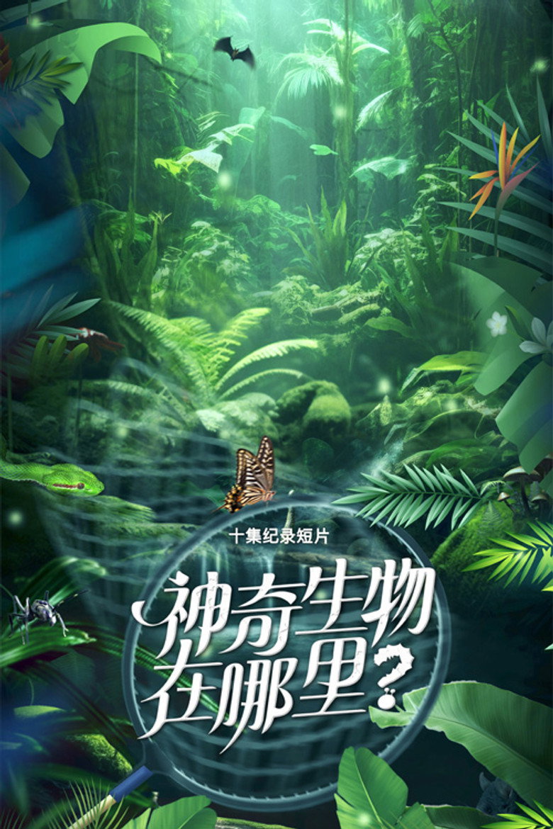 Official poster for 神奇生物在哪里?