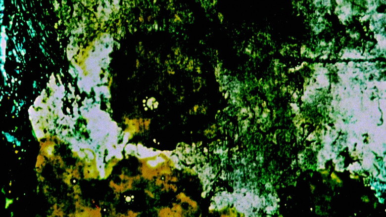 Film backdrop