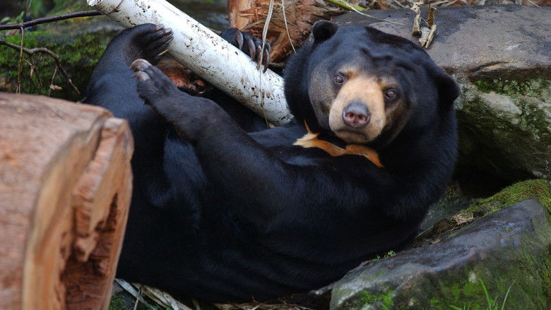 Still image for Secrets of the Zoo: Down Under season 1 episode 9: Joey Ride Still image for Secrets of the Zoo: Down Under season 1 episode 9: Joey Ride