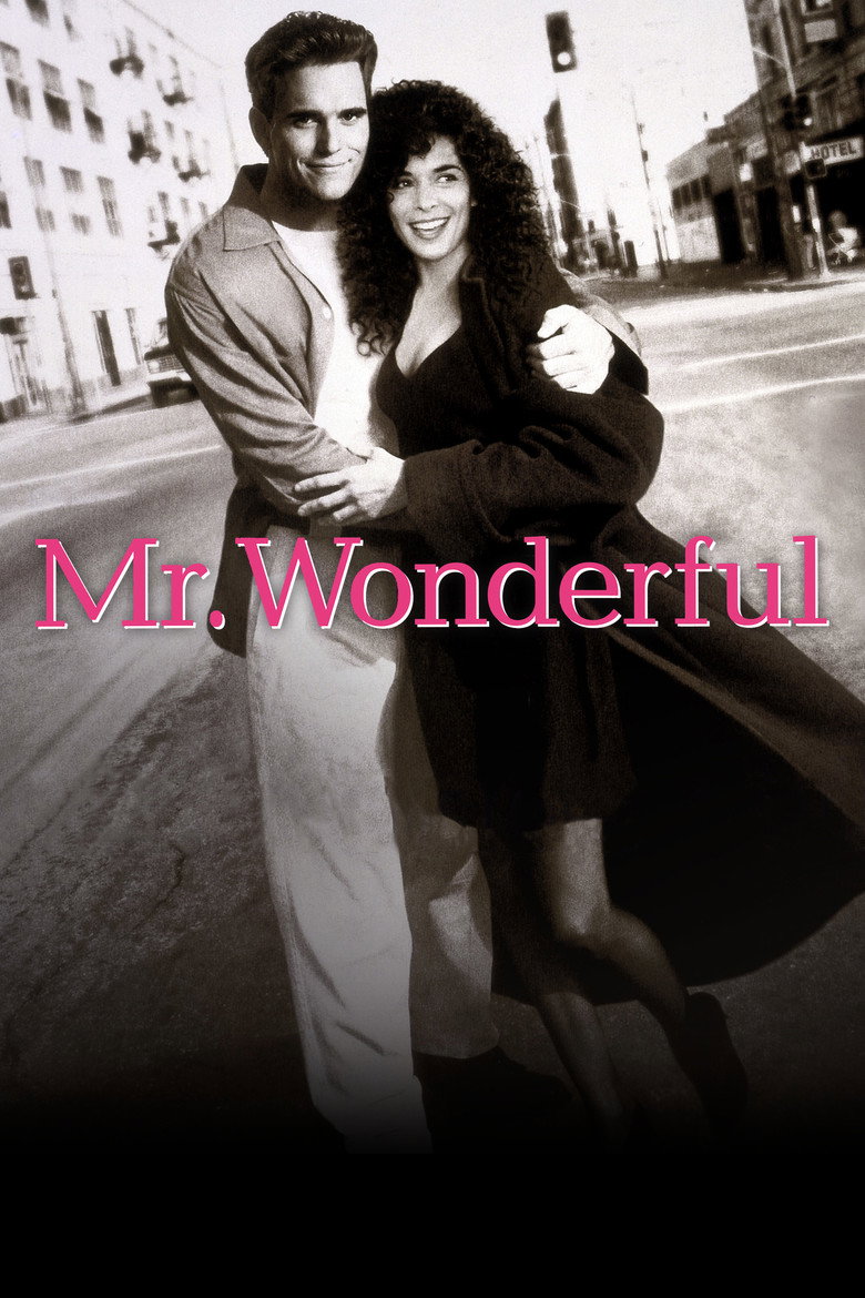 Affiche de MR. WONDERFUL