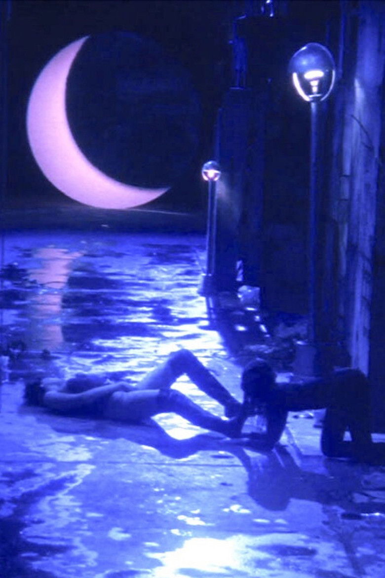 Imatge de Fou de Bassan