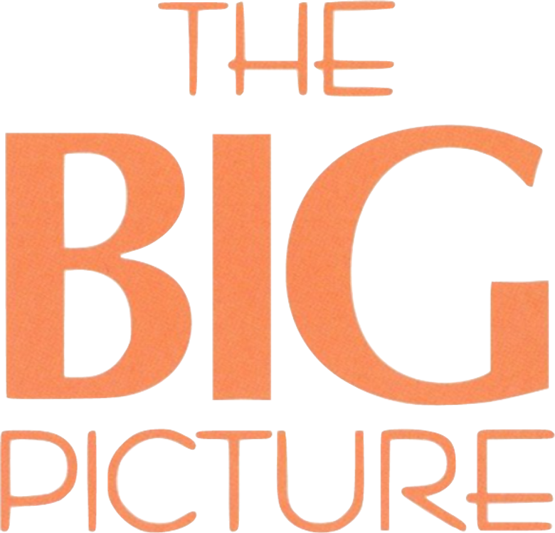 The Big Picture