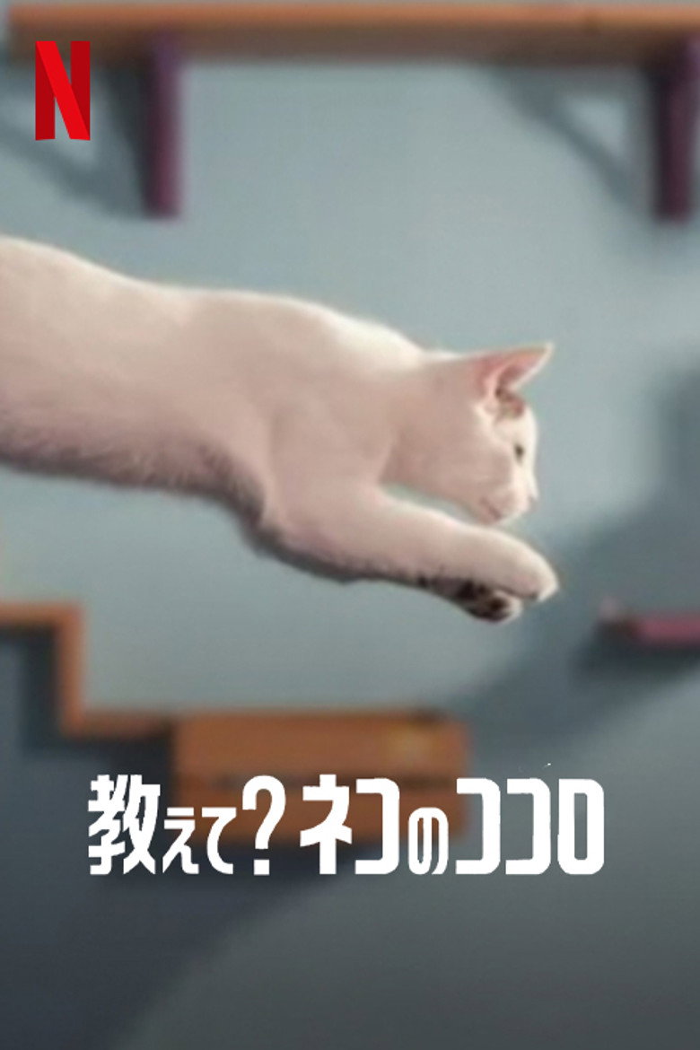 Plakat filmu 教えて？ ネコのココロ