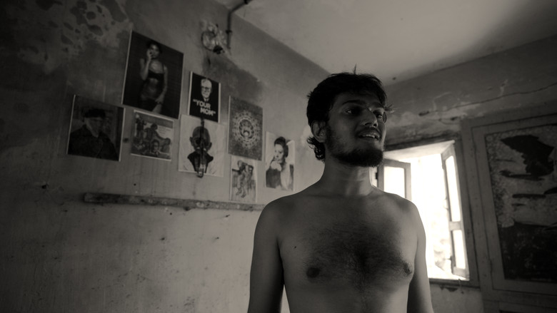 Imatge de A Fly Floating In The Midst Of The Milk