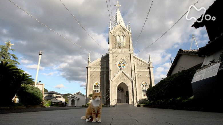 Still image for Mitsuaki Iwago's World “Cats” Travelogue season 1 episode 122: Amakusa and Kumamoto Still image for Mitsuaki Iwago's World “Cats” Travelogue season 1 episode 122: Amakusa and Kumamoto