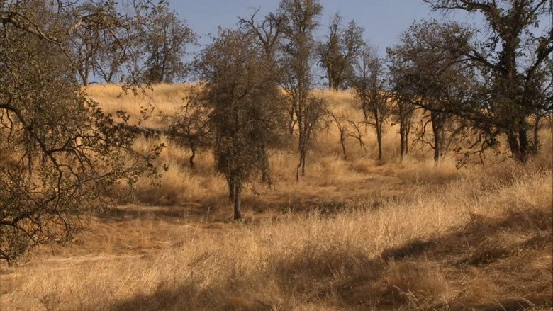 Fall Equinox Movie Still 2