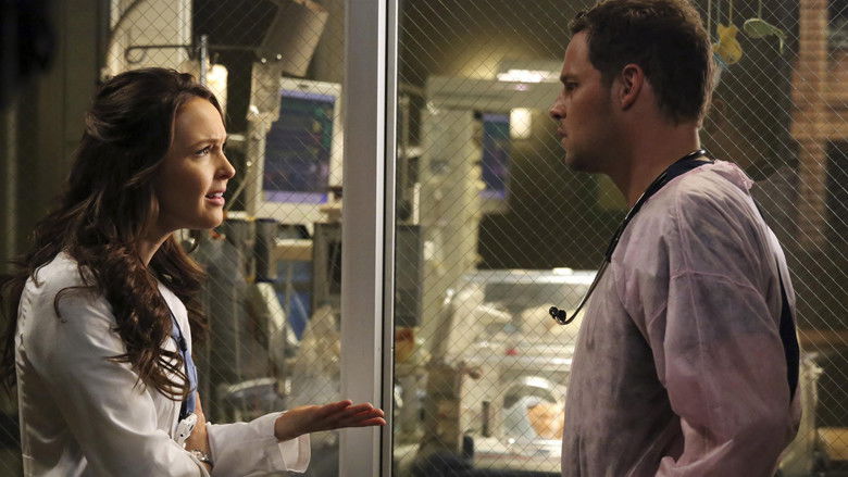 Grey's Anatomy Sezonul 9 Episodul 21 Online Subtitrat in Romana - FSonline