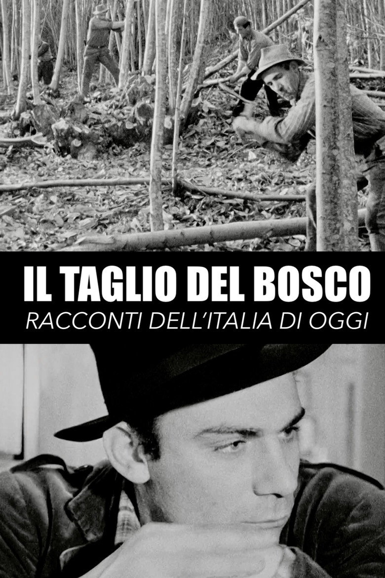 Affiche de IL TAGLIO DEL BOSCO