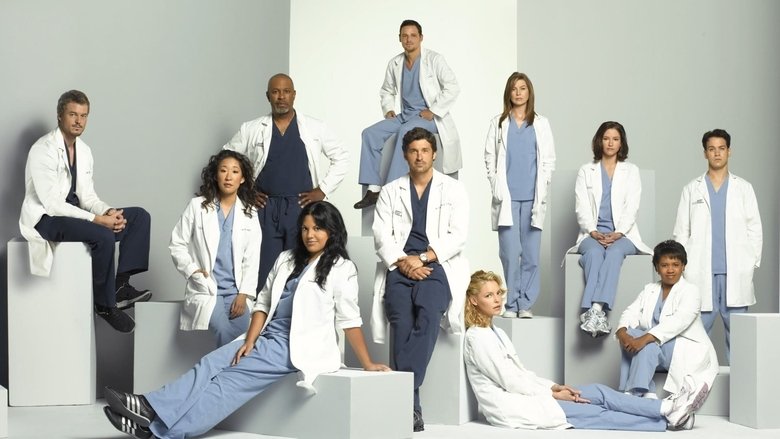 Grey's Anatomy Season 6 Episode 12 : I Like You So Much Better When You're Naked