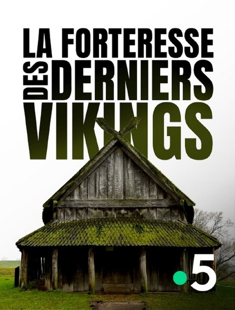 Viking City of the Dead (2018)