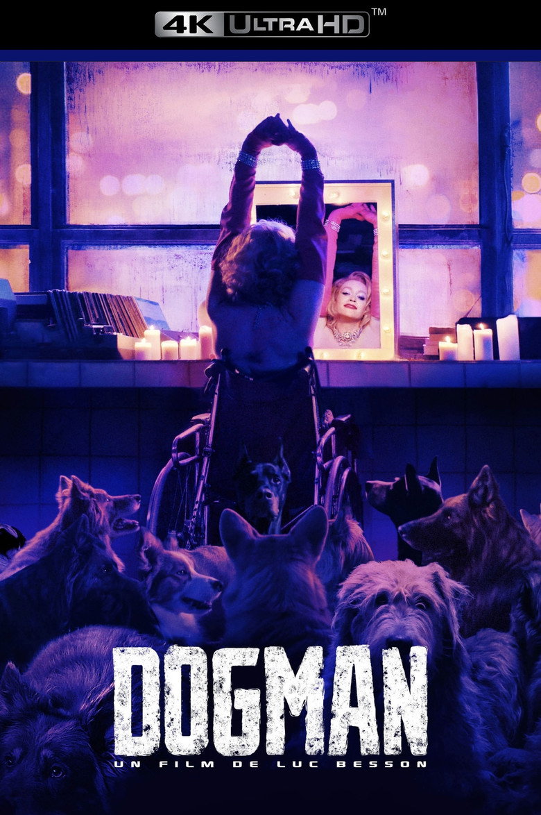 Póster la Película