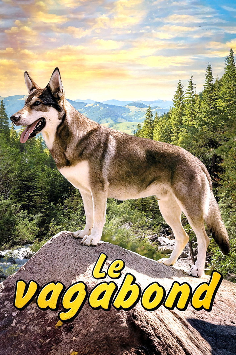 Affiche de LE VAGABOND