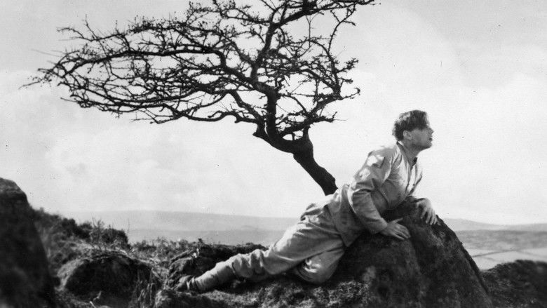 Imatge de A Cottage on Dartmoor