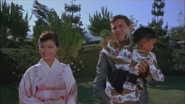 Le kid en kimono Streaming