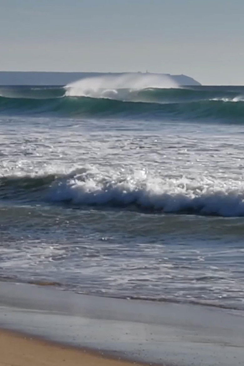 Imatge de A Certain Place of Mind